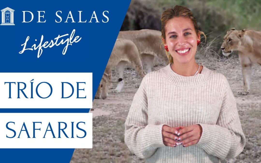 Trío de safaris