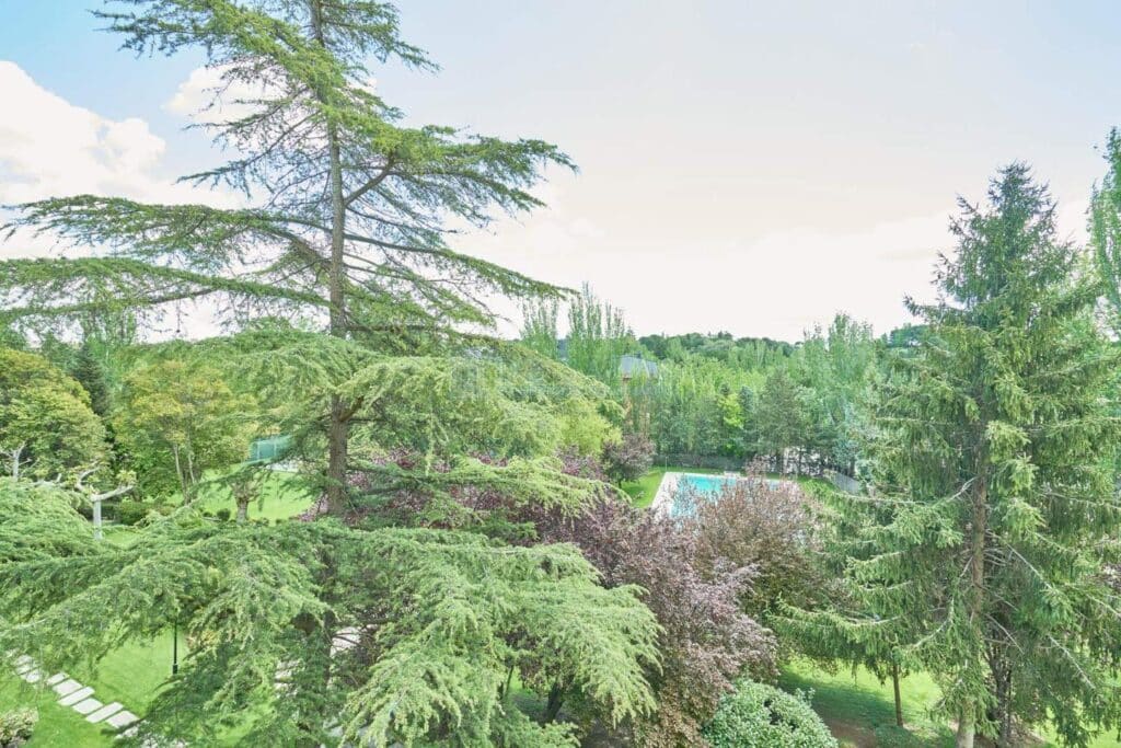 Piso en venta en Alcobendas de 350m2 REF:MOV03114