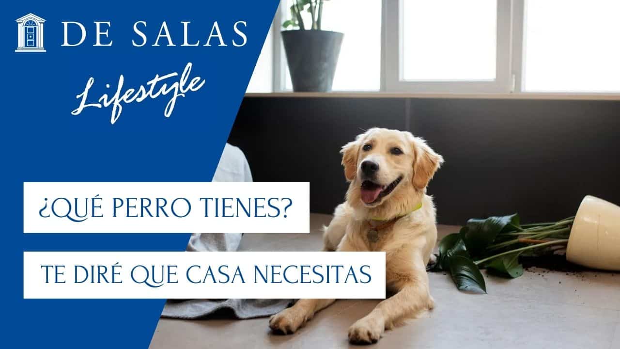 Dime qué perro tienes y te diré que casa necesitas
