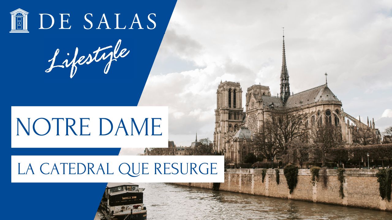 Notre Dame, la catedral que resurge