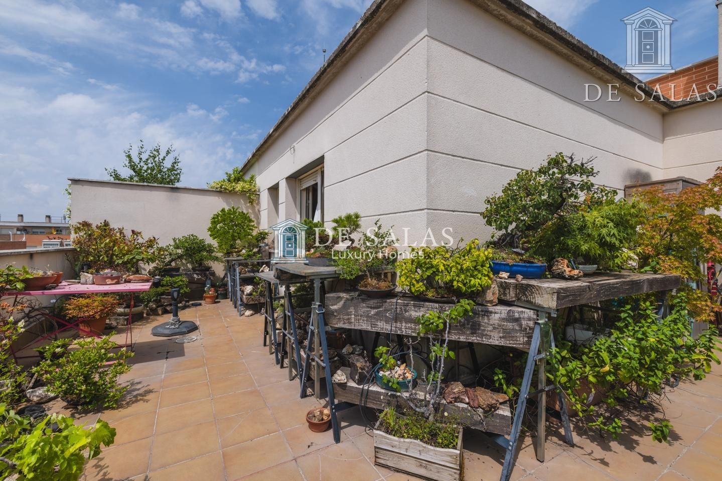 Magnífico ático-duplex con terraza en Alameda de Osuna